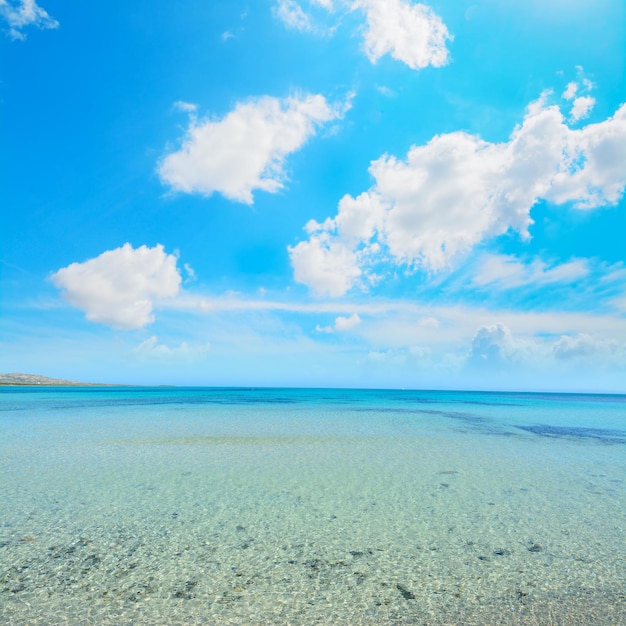 White clouds over La Pelosa beach Sardinia