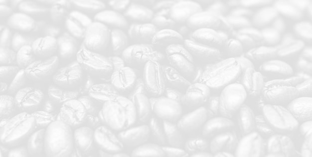 white coffee beans background