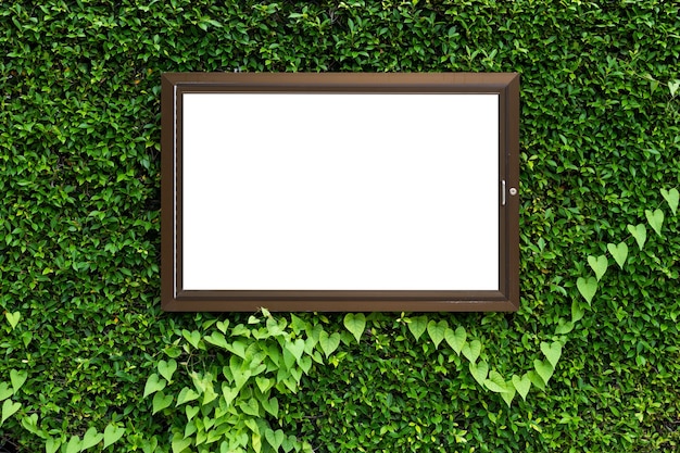 White color in aluminum frame on green leaves texture background with clipping path in frame