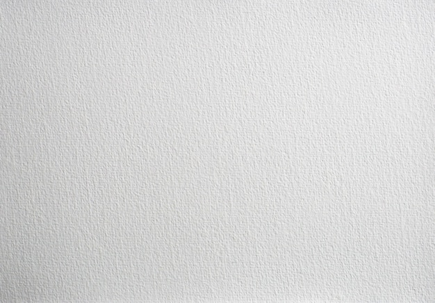 White concrete background.