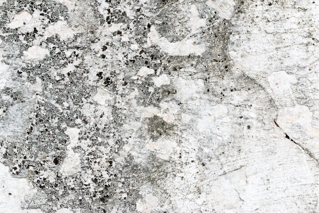 White concrete wall texture