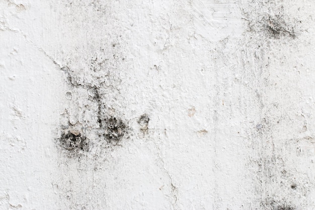 Foto consistenza della parete di cemento bianco