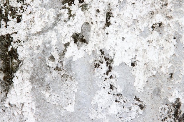 White concrete wall texture