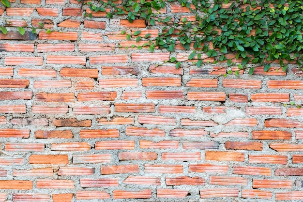 Bianco texture muro di cemento