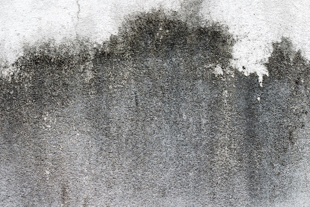 White concrete wall texture