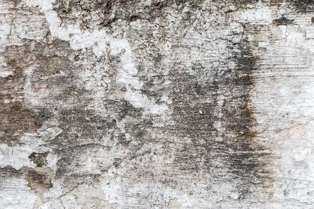 White concrete wall texture