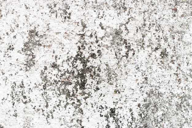 Foto bianco texture muro di cemento