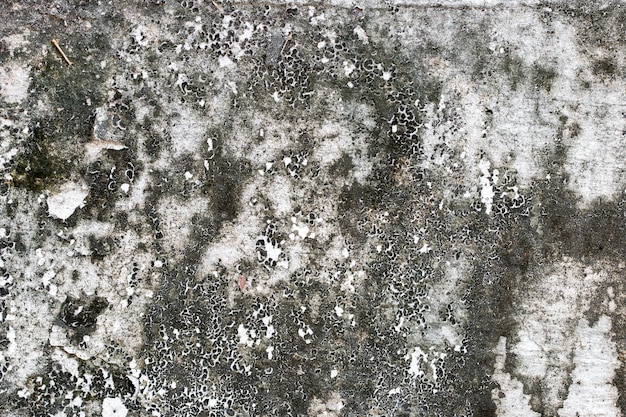 White concrete wall texture