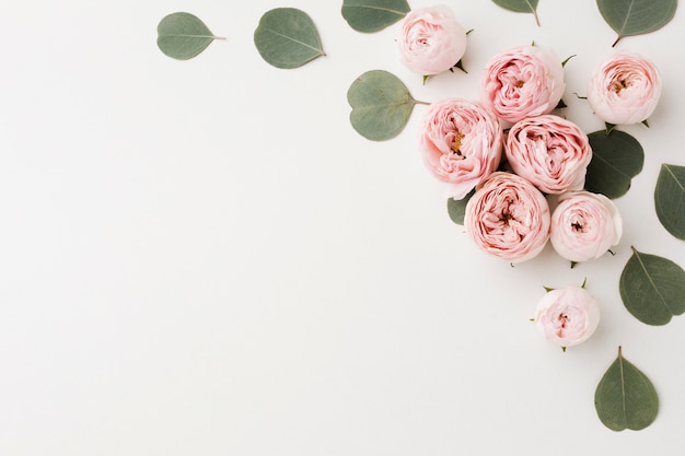 Photo white copy space background with roses and leaves