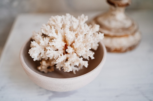 White coral in cup on bedside table.