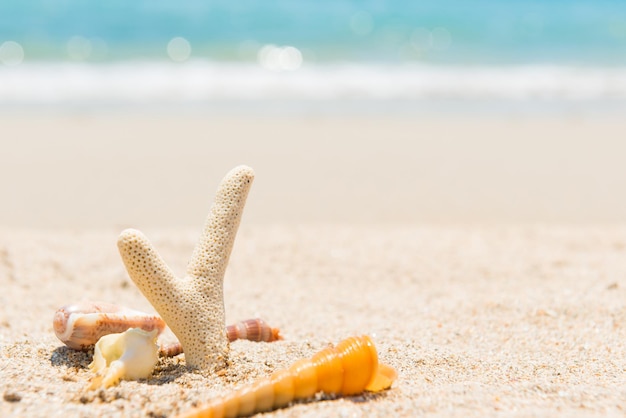 夏休みの背景として砂浜と青い海の白い珊瑚と貝殻