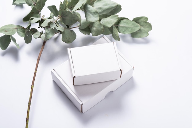 유칼립투스 잎이 있는 나무 책상 위의 흰색 골판지 우편함