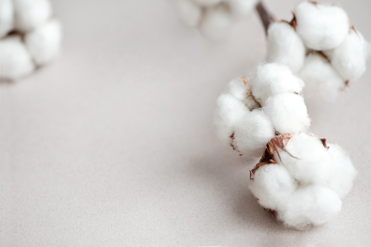 Photo white cotton dried flowers