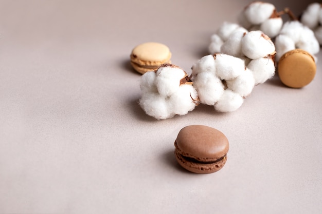 White cotton flowers and french macaroons on beige