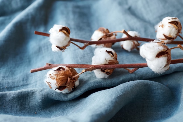 ターコイズブルーの生地に白い綿の花