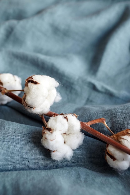 White cotton flowers on turquoise blue fabric