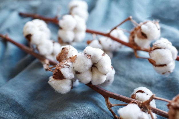 White cotton flowers on turquoise blue fabric