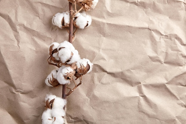 しわくちゃのクラフト紙のテクスチャ背景上面図に白い綿の植物の花