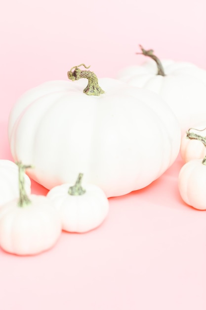 White craft pumpkins of different sizes on a pink background.