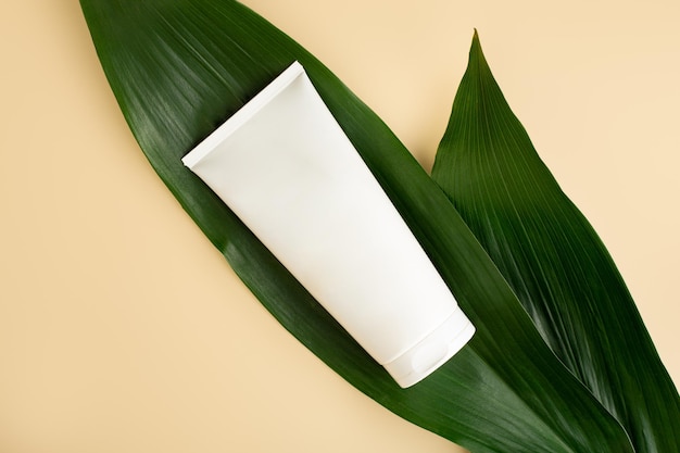 Photo white cream in open tube top view with decorative green foliage organic cosmetics skincare product