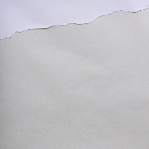 Photo white crumpled paper white paper texture