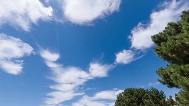 Foto nubi cumuliformi bianche su un cielo blu