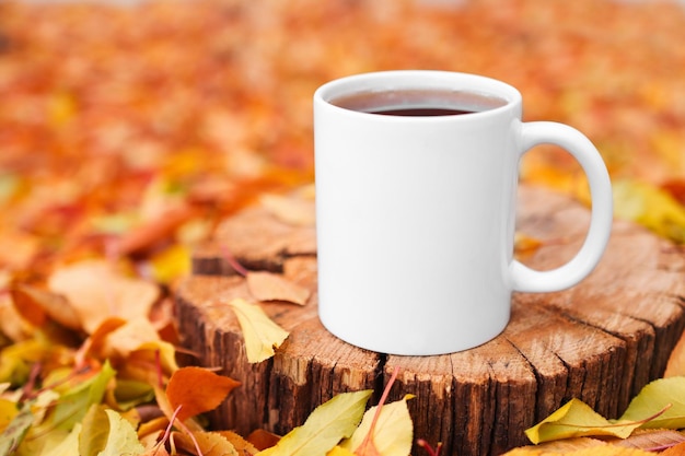 White cup with a hot drink outdoors in the forest on colorful leaves mockup for advertising