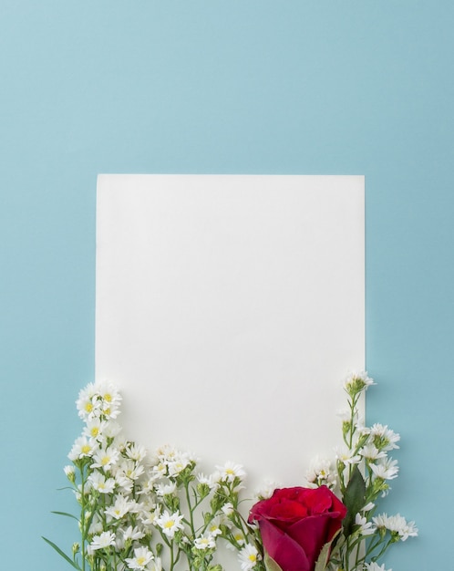 Photo white cutter flowers and red rose on light blue background with paper frame