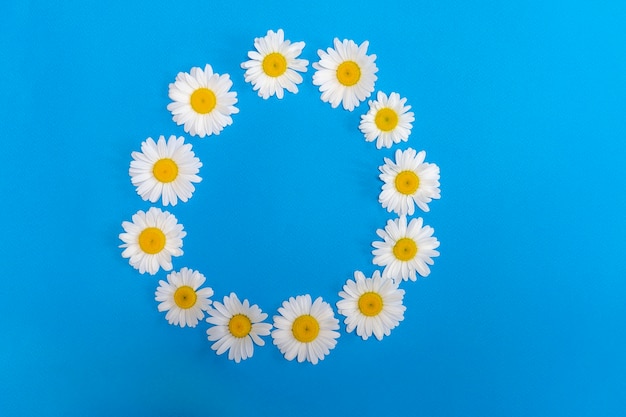 White daisies are arranged in circle circle of daisies spring banner with space for text summer