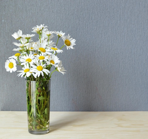 white daisies from field in the vase and grey background