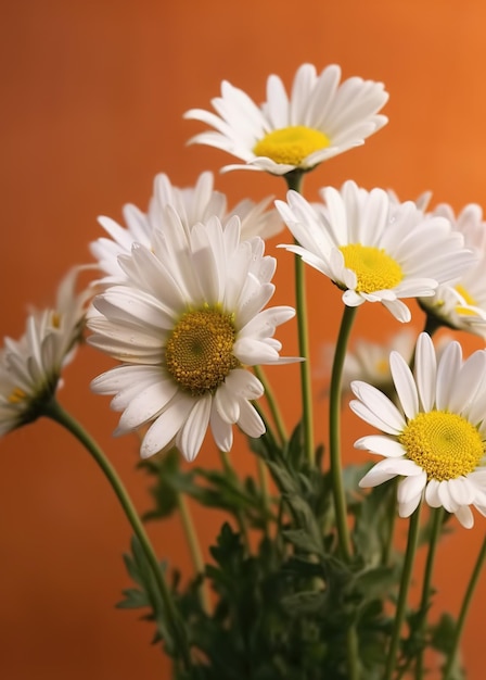 White daisies in a vase against an orange background