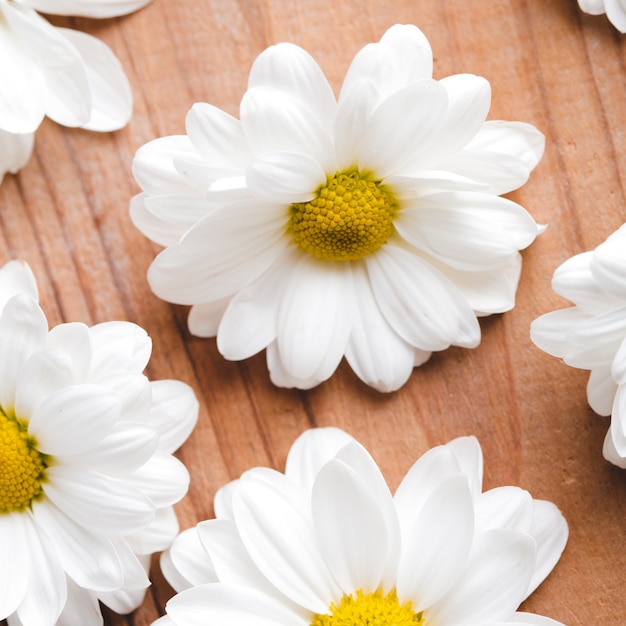 White daisies on the wooden table. Spa decorations