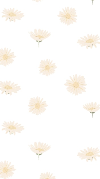 데이지 꽃 png 패턴 투명한 배경