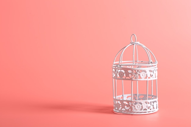 White decorative iron bird cage on a pink background