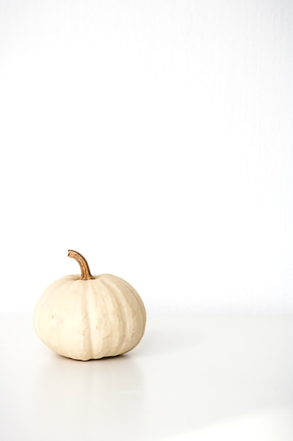 White decorative mini pumpkin isolated on white background. Fall background. Halloween or Thanksgiving celebration.