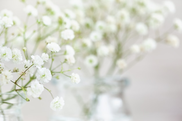 White delicate arrangement of baby's breath flowers gypsophila with copy space for text. Selective focus