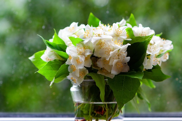 White delicate bouquet of jasmine in a jar on the window