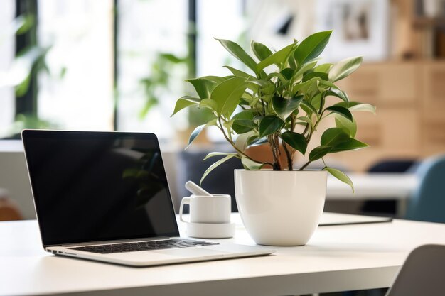 White Desk Vibes Tech Plants And Insulated Bottles