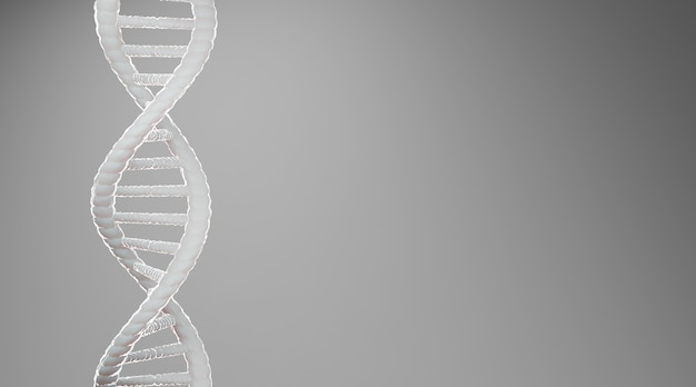 Estratto di struttura del dna bianco su sfondo grigio, rendering 3d.