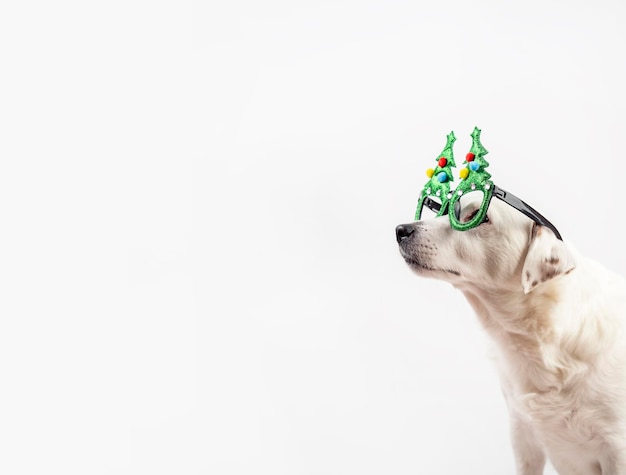 White dog with funny glasses in the shape of a Christmas tree New Year and Christmas concept Profile of a dog Banner with space for text