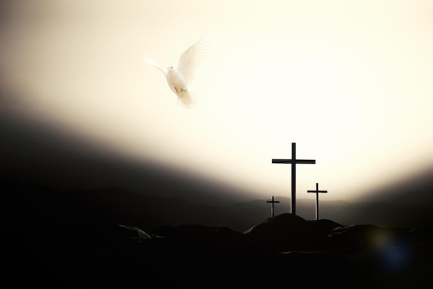 White dove flying over the cross of jesus and silhouette on
bright sky background