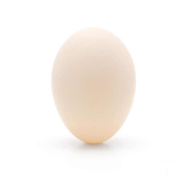 White duck egg