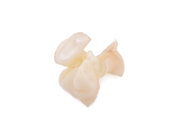 Fungo bianco dell'orecchio o fungo bianco della gelatina isolato su superficie bianca