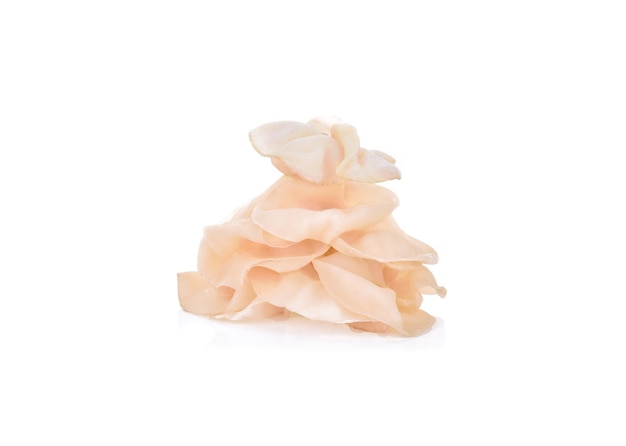 white ear mushroom or white jelly mushroom isolated on white surface