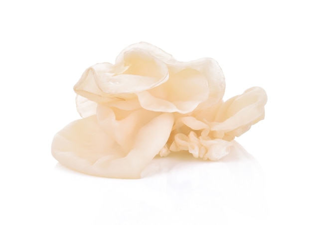 White ear mushroom or white jelly mushroom isolated