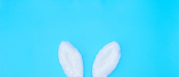 写真 青い背景に白いイースターバニーの耳ハッピーイースターミニマリズムのコンセプトコピースペースとフラットレイスタイル