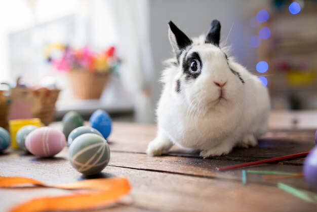 White Easter Bunny