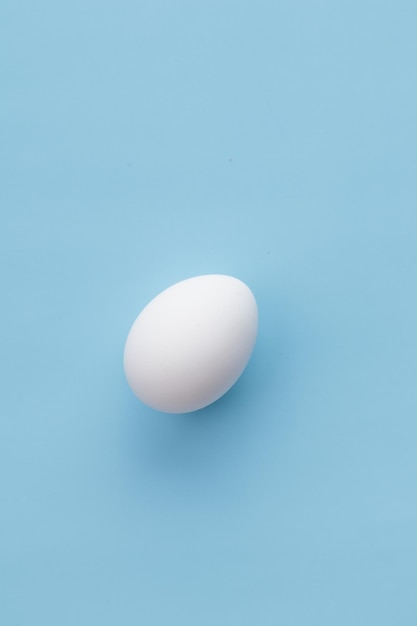 White egg on a blue background