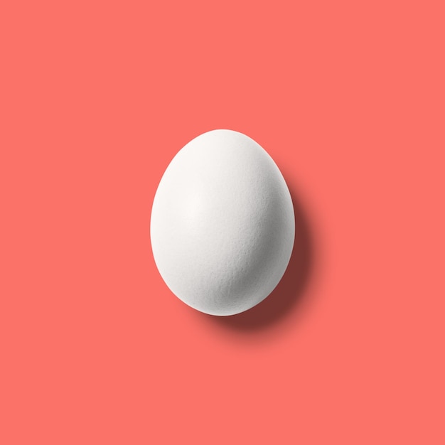 White egg on coral color background