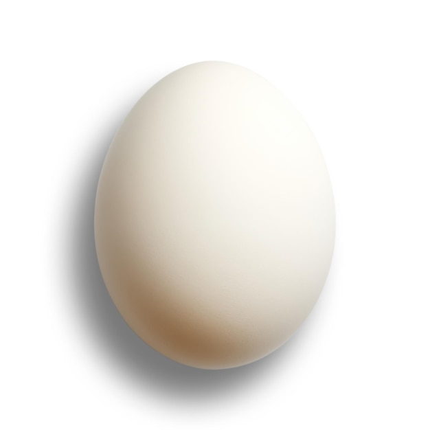 写真 白い背景に隔離された白い卵